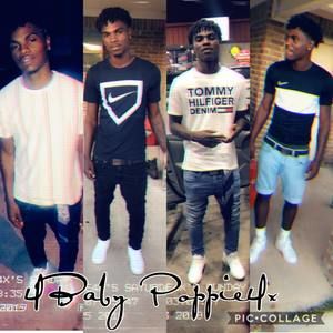 Meet your Posher, Poppie